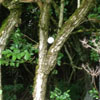 Bild commov.de * Artikel Golf-Tagebuch: Race to Belek Bild commov.de * Artikel Golf-Tagebuch: Race to Belek